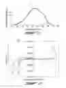 Fig. 13 - Preparation of high molecular weight polymers by direct arylation and heteroarylation
