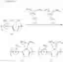 Fig. 12 - ORGANIC HETEROPOLYMER AND METHOD FOR MANUFACTURING SAME