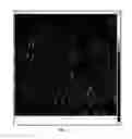 Fig. 03 - Chitin nanowhisker composites and methods