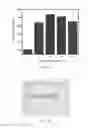 Fig. 08 - SELF-CLEANSING SUPER-HYDROPHOBIC POLYMERIC MATERIALS FOR ANTI-SOILING