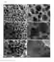 Fig. 02 - Foamed polyurethane polymers for the regeneration of connective tissue