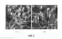 Fig. 02 - Flame-retardant polyphenylene ether resin composition having high rigidity and high impact strength