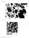Fig. 06 - BELT