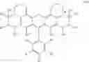 Fig. 11 - CELL TRACKING REAGENTS AND THEIR METHODS OF USE