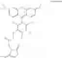 Fig. 66 - CELL TRACKING REAGENTS AND THEIR METHODS OF USE