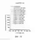 Fig. 07 - GOLD NANOCLUSTER COMPOSITION AND METHOD FOR DETECTING THIOL-CONTAINING COMPOUNDS