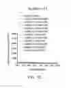 Fig. 09 - GOLD NANOCLUSTER COMPOSITION AND METHOD FOR DETECTING THIOL-CONTAINING COMPOUNDS