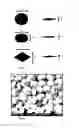 Fig. 02 - Reactive mesogen based polymer particles
