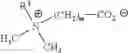 Fig. 07 - Sulfate-Free Liquid Laundry Detergent