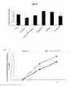Fig. 04 - Serum-free medium
