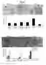 Fig. 13 - Serum-free medium