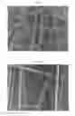 Fig. 02 - Active-ester-group-containing composition for producing fibers, and cell culture scaffold material using fibers produced from active-ester-group-containing composition