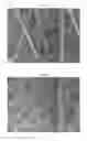 Fig. 05 - Active-ester-group-containing composition for producing fibers, and cell culture scaffold material using fibers produced from active-ester-group-containing composition