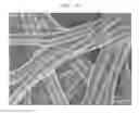 Fig. 07 - Active-ester-group-containing composition for producing fibers, and cell culture scaffold material using fibers produced from active-ester-group-containing composition