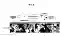 Fig. 02 - Method for inducing ectodermal differentiation of embryoid bodies derived from human pluripotent stem cells by CXCR2 stimulation