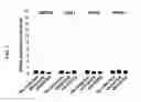 Fig. 04 - Method for inducing endodermal and mesodermal differentiation from human pluripotent stem cells by CXCR2 suppression