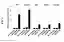 Fig. 05 - Method for inducing endodermal and mesodermal differentiation from human pluripotent stem cells by CXCR2 suppression