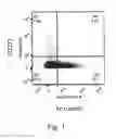 Fig. 02 - SELECTION AND USE OF STEM CELLS