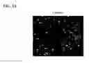 Fig. 07 - Differentiation of human embryonic stem cells into pancreatic endocrine cells