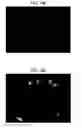 Fig. 05 - Adeno-associated virus virions with variant capsid and methods of use thereof