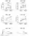 Fig. 15 - Adeno-associated virus virions with variant capsid and methods of use thereof