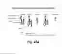 Fig. 49 - Chimeric clotting factors