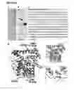 Fig. 07 - Asx-specific protein ligase