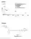 Fig. 08 - Asx-specific protein ligase