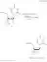 Fig. 28 - Crosslinked nucleoside and nucleotide