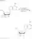 Fig. 48 - Crosslinked nucleoside and nucleotide