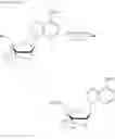 Fig. 50 - Crosslinked nucleoside and nucleotide