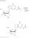 Fig. 56 - Crosslinked nucleoside and nucleotide