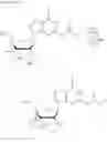 Fig. 58 - Crosslinked nucleoside and nucleotide