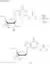 Fig. 59 - Crosslinked nucleoside and nucleotide