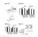 Fig. 04 - tRNA derived small RNAs (tsRNAs) involved in cell viability