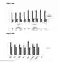 Fig. 17 - tRNA derived small RNAs (tsRNAs) involved in cell viability