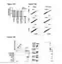 Fig. 18 - tRNA derived small RNAs (tsRNAs) involved in cell viability