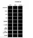 Fig. 23 - tRNA derived small RNAs (tsRNAs) involved in cell viability