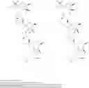 Fig. 69 - Oligomeric compounds comprising alpha-beta-constrained nucleic acid