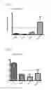 Fig. 07 - SARNA COMPOSITIONS AND METHODS OF USE