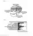 Fig. 04 - Compositions and methods to promote erythropoiesis