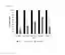 Fig. 19 - PLANT sRNA EXTRACT FOR USE AS AN IMMUNOSUPPRESSIVE AGENT