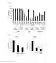 Fig. 20 - PLANT sRNA EXTRACT FOR USE AS AN IMMUNOSUPPRESSIVE AGENT