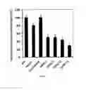 Fig. 19 - METHODS AND COMPOSITIONS FOR THE TREATMENT OF CANCER
