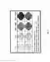 Fig. 26 - METHODS AND COMPOSITIONS FOR THE TREATMENT OF CANCER