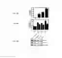Fig. 72 - METHODS AND COMPOSITIONS FOR THE TREATMENT OF CANCER