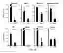 Fig. 16 - Polycomb-associated non-coding RNAs