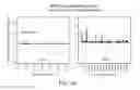 Fig. 40 - Polycomb-associated non-coding RNAs