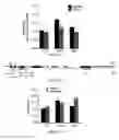Fig. 45 - Polycomb-associated non-coding RNAs