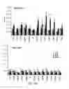 Fig. 47 - Polycomb-associated non-coding RNAs